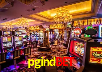 pgindbet Salvador - Studio Tour